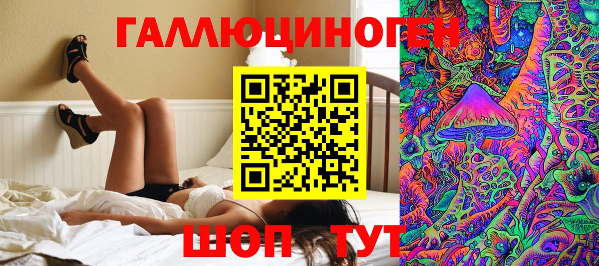 Галлюциногенные грибы Psilocybine cubensis  Вход с VPN  Заволжье 